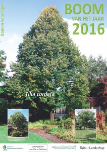 Boom van het jaar 2016